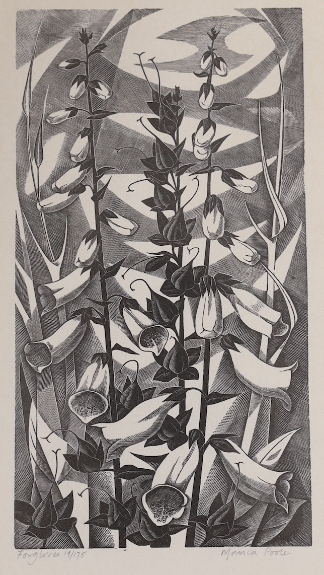 Monica Poole (1921-2003), wood engraving, 'Foxgloves', signed in pencil, 19/172, 20 x 11cm